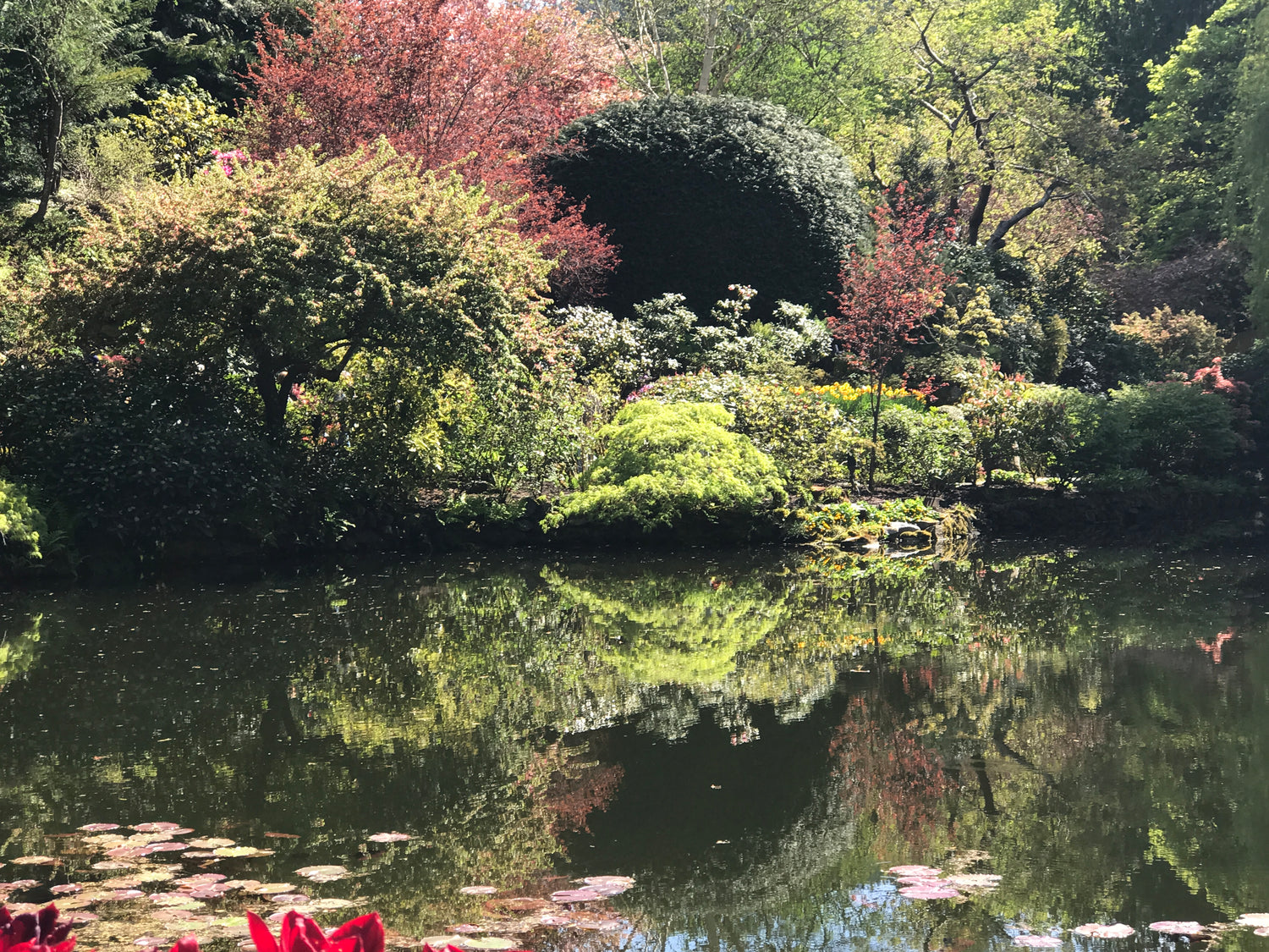 Butchart Gardens Collection